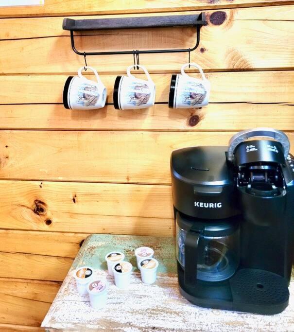 Serenity, A Rustic Log Cabin Retreat セバービル エクステリア 写真
